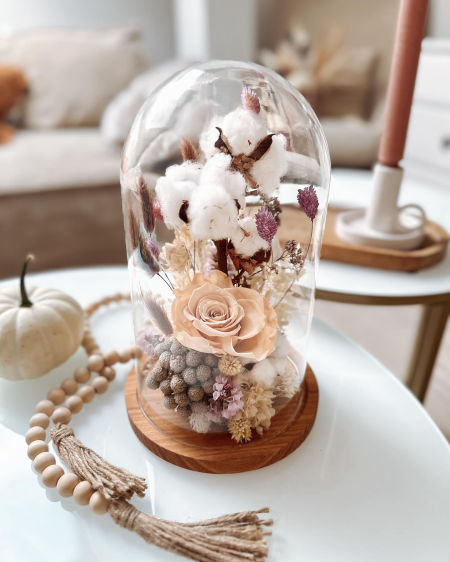 Szklana kopuła jesienna bawełna wieczna róża (PREMIUM)