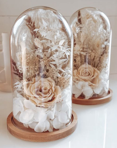 Szklana kopuła róża nude drewniana   (PREMIUM)