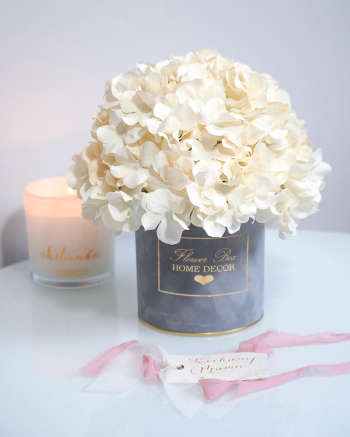 Flower Box Hortensje kremowe szary Box (PREMIUM)