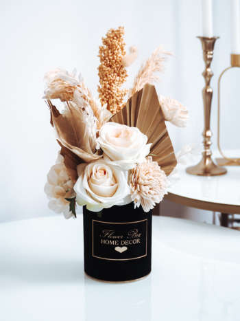 Flower Box Susz dekoracyjny trawy pampasowe czarny (PREMIUM)