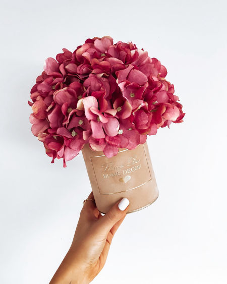 Flower Box hortensja ciemny róż  (PREMIUM)